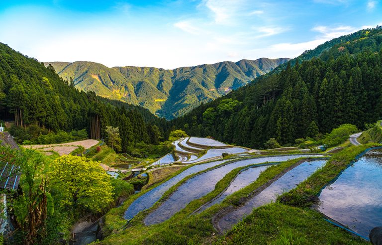 徳島県上勝町まえばら農園イメージ画像