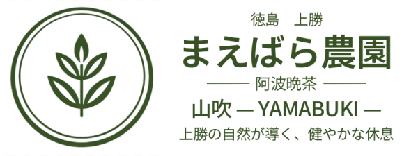 阿波晩茶 ティーバッグ 飲み比べセット 15包＋15包｜徳島 上勝町の乳酸菌発酵茶（栽培期間中農薬不使用）