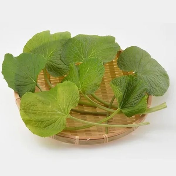 徳島・上勝町産 採れたて「生 葉わさび」 50g （秀品）