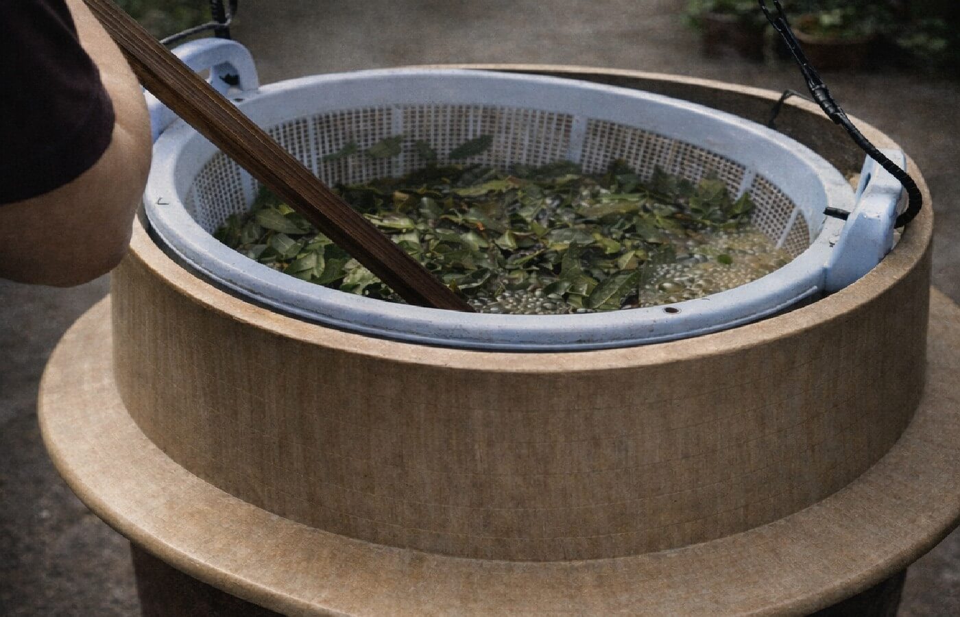 阿波晩茶の煮熟工程 大釜で茶葉を煮る