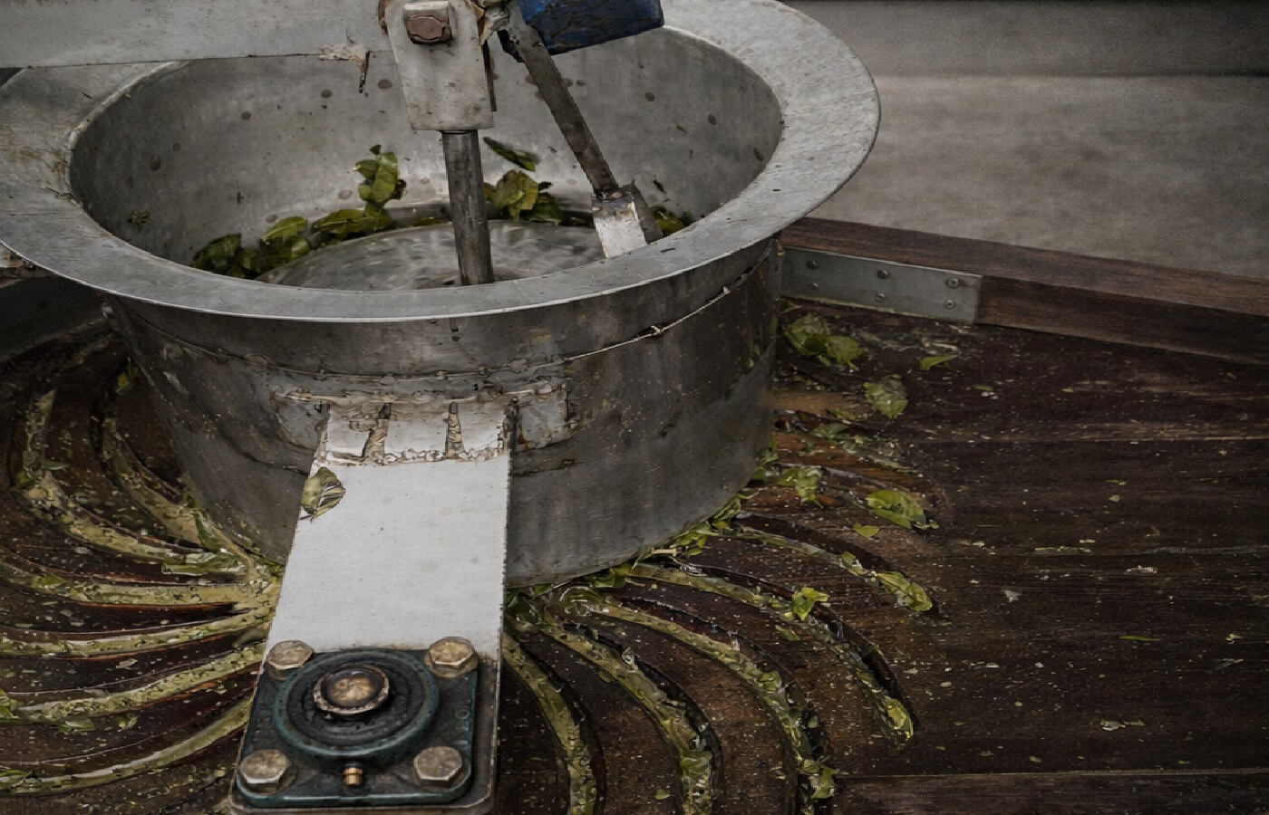 阿波晩茶の揉捻工程 茶葉を揉む